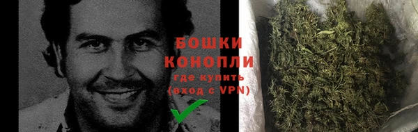 соль ск Дмитриев
