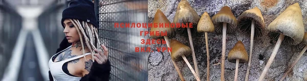 спайс Дмитров