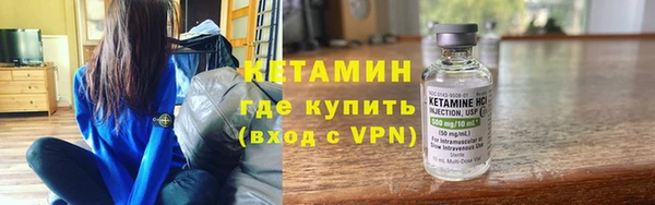 соль ск Дмитриев