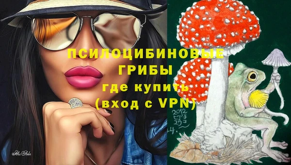 спайс Дмитров