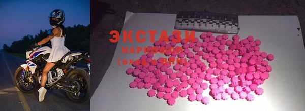 соль ск Дмитриев