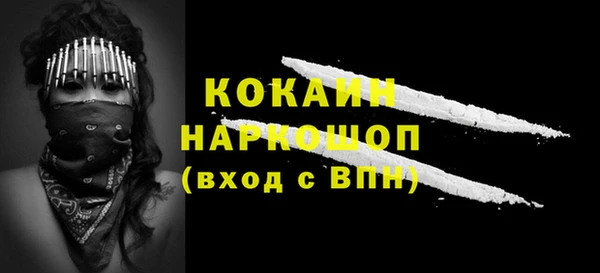 соль ск Дмитриев