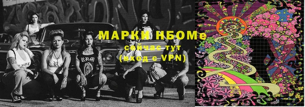 соль ск Дмитриев