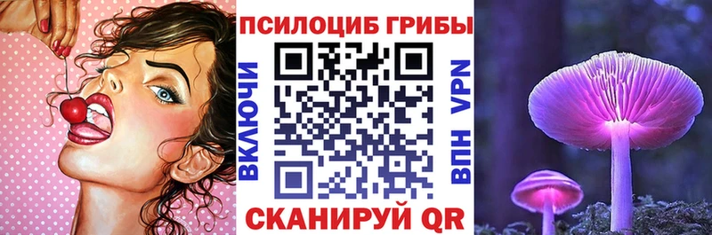 Купить закладки  Кинель  Галлюциногенные грибы Cubensis 